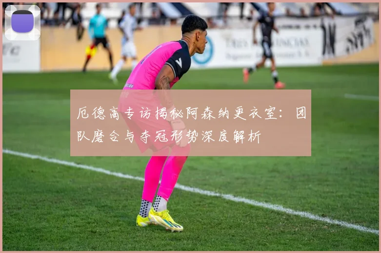 厄德高专访揭秘阿森纳更衣室:团队磨合与夺冠形势深度解析