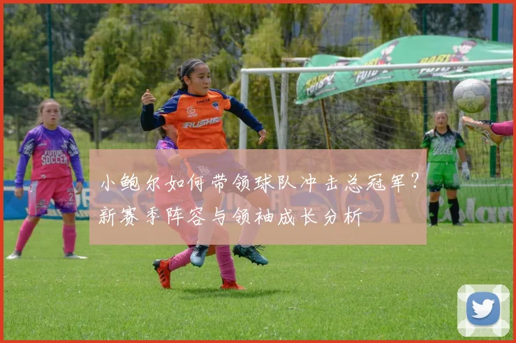 小鲍尔如何带领球队冲击总冠军?新赛季阵容与领袖成长分析